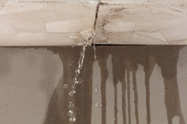 Professional Water Damage Repair technician working in Ashville, AL